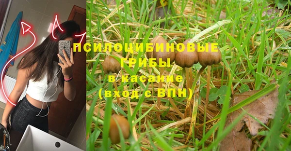 ПСИЛОЦИБИНОВЫЕ ГРИБЫ Балабаново